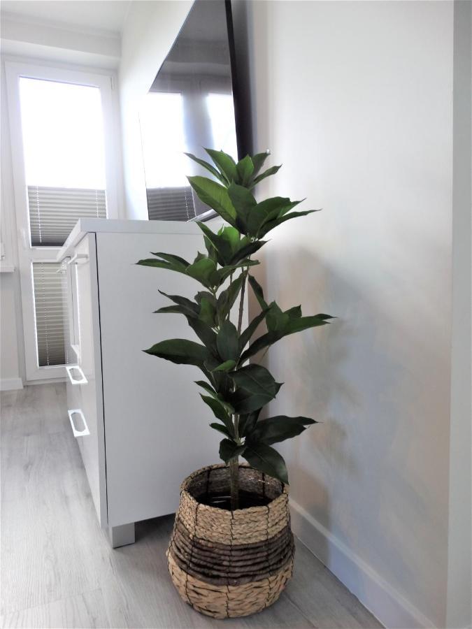Apartament Centrum Svinoústí Exteriér fotografie